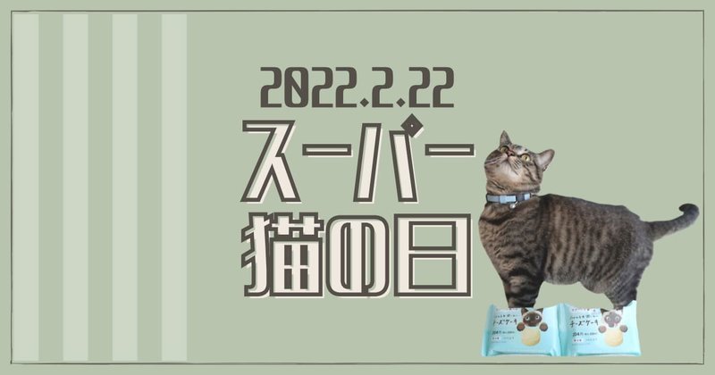 2022.2.22スーパー猫の日