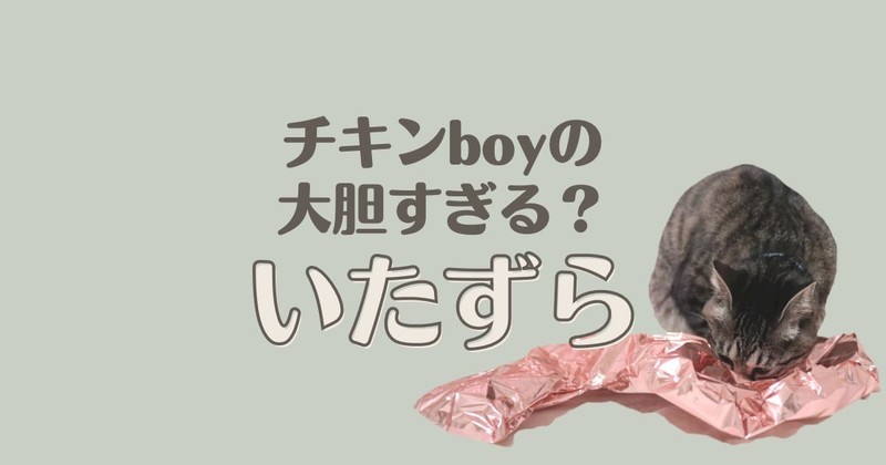 チキンboyの大胆すぎるいたずら