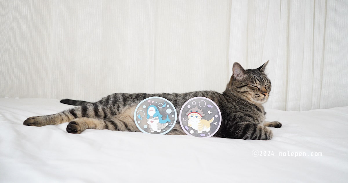 mofusandクリアラバーコースター２とキジトラ猫