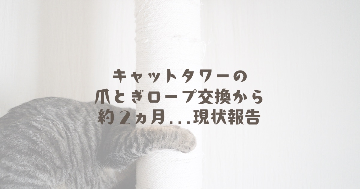 キャットタワーの爪とぎロープ交換から約２ヵ月の現状報告