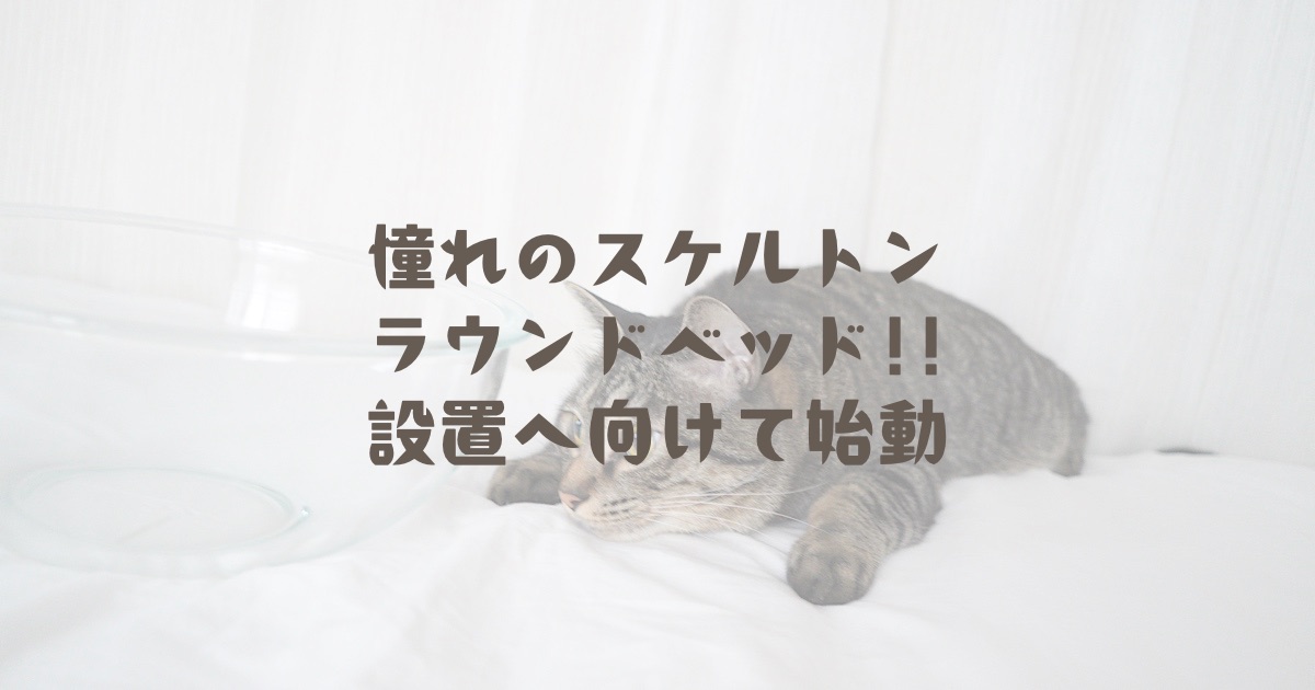 憧れのスケルトンラウンドベッド！設置へ向けて始動