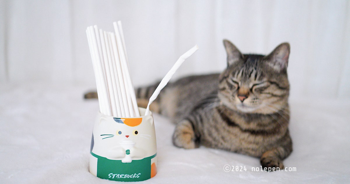 STARBUCKS三毛猫マグに紙ストロー収納