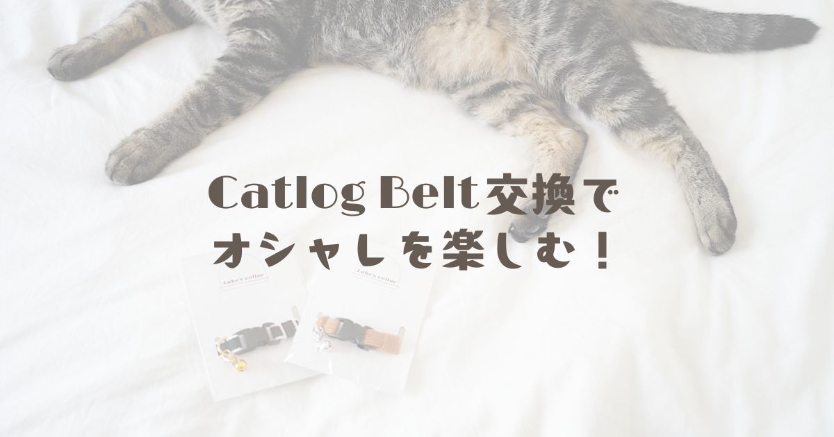 MNas様　オーダー　Catlog用ベルト #357〜367 MNas様 オーダー Catlog用ベルト #357〜367 【公式通販】