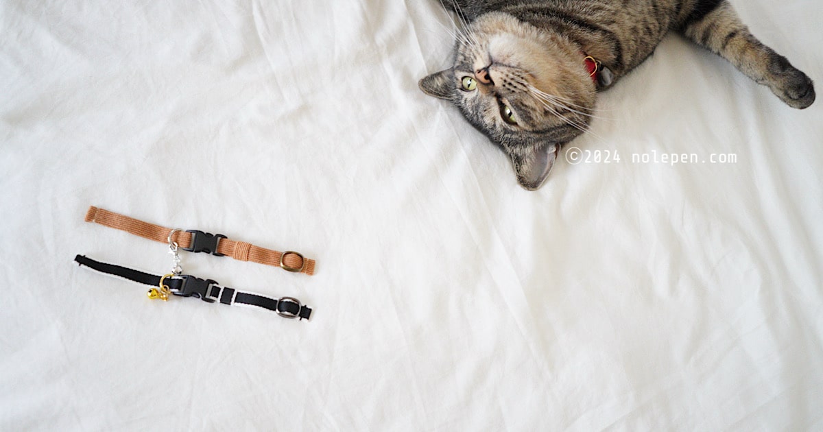 Catlog Belt交換でオシャレを楽しむ！ - のれぺん