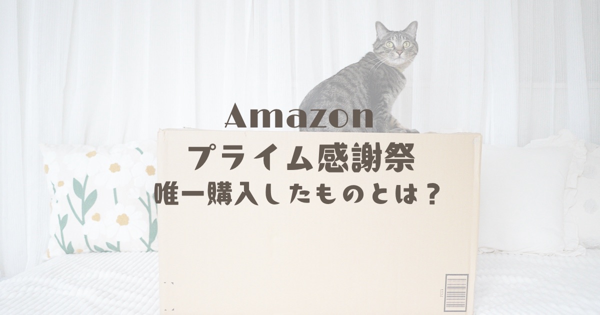 Amazonプライム感謝祭で「唯一」購入したものとは？