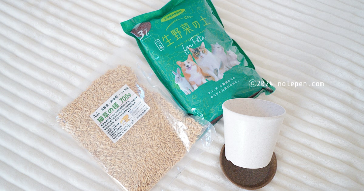 成功を願って・・・猫草栽培再開！