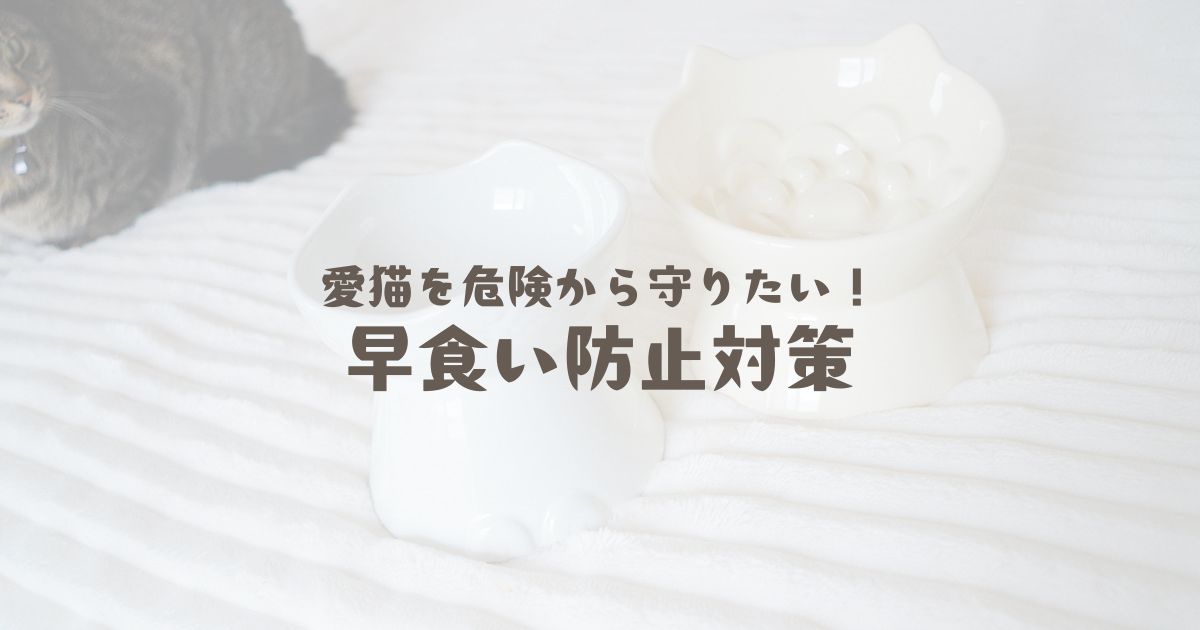 愛猫を危険から守りたい！早食い防止対策