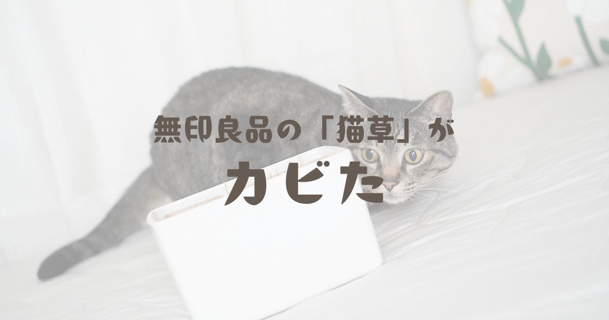 無印良品の「猫草」がカビた