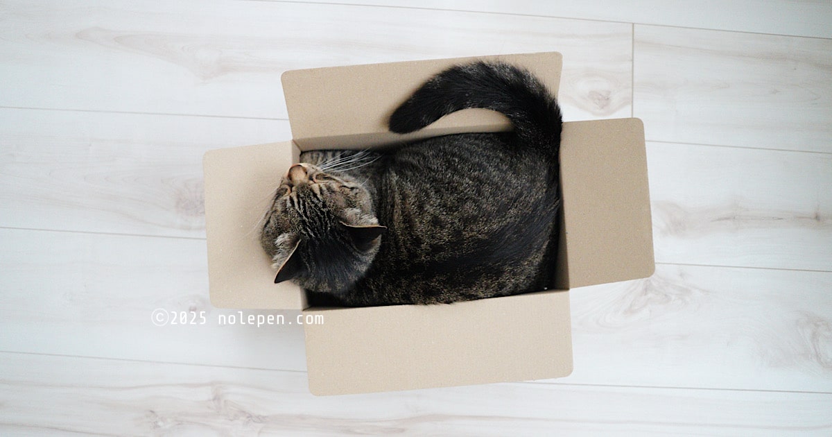 届いた荷物が入っていた箱にジャストフィットな愛猫のれ