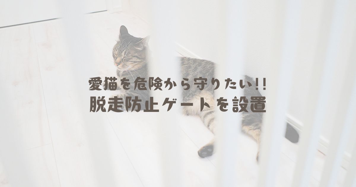 愛猫を危険から守りたい!!脱走防止ゲートを設置