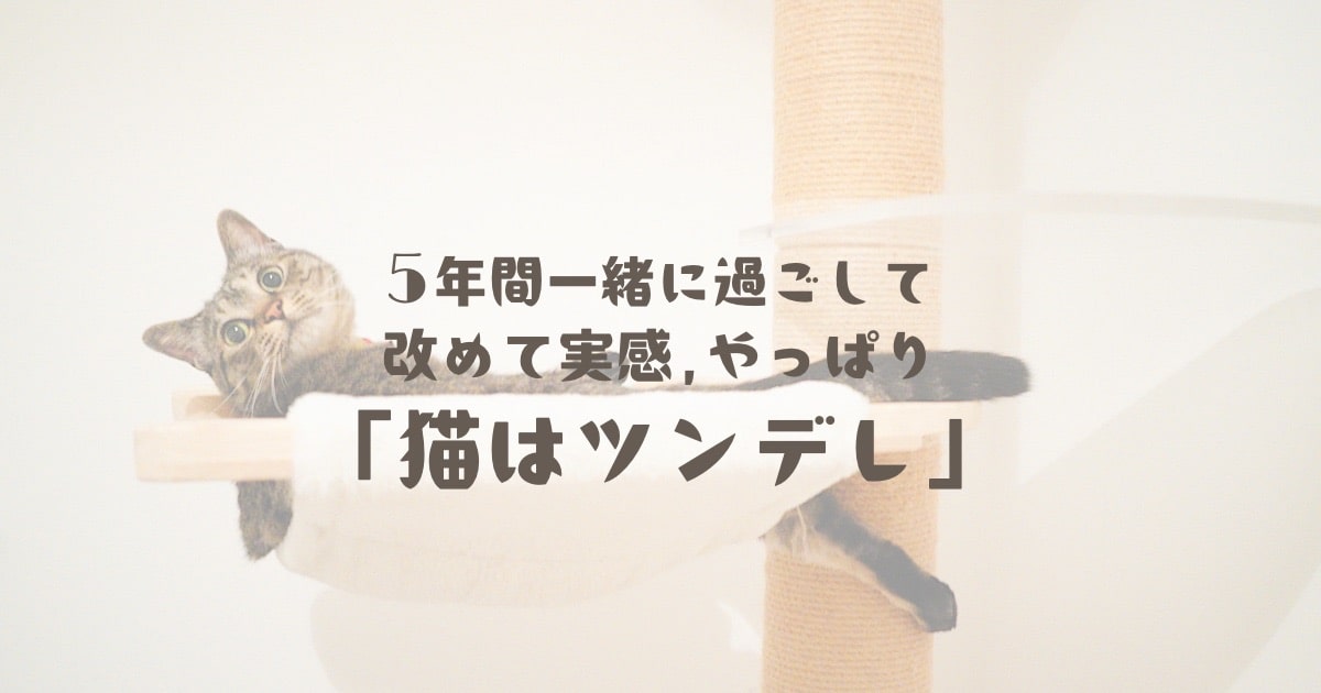 5年間一緒に過ごして改めて実感，やっぱり「猫はツンデレ」