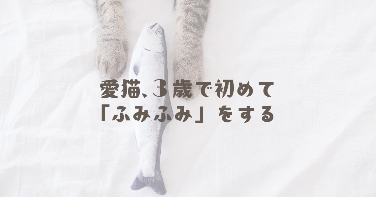 愛猫、3歳で初めて「ふみふみ」をする