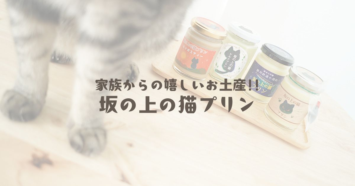 家族からの嬉しいお土産!!坂の上の猫プリン