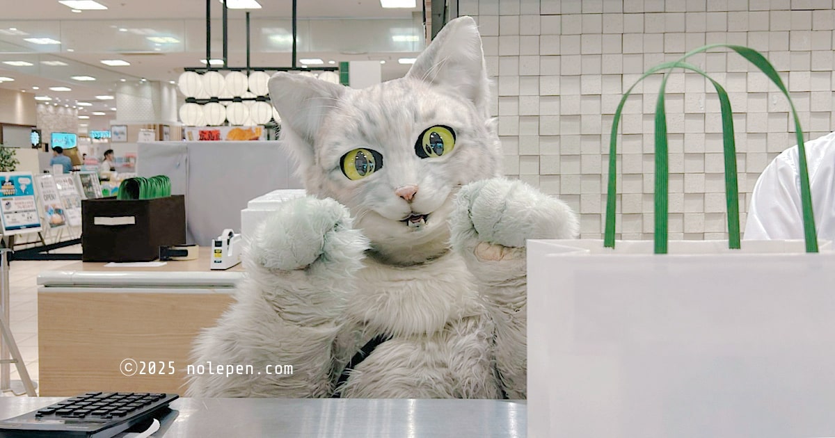 プリン専門店「坂の上の猫」、かわいいアルバイト猫のミクちゃん