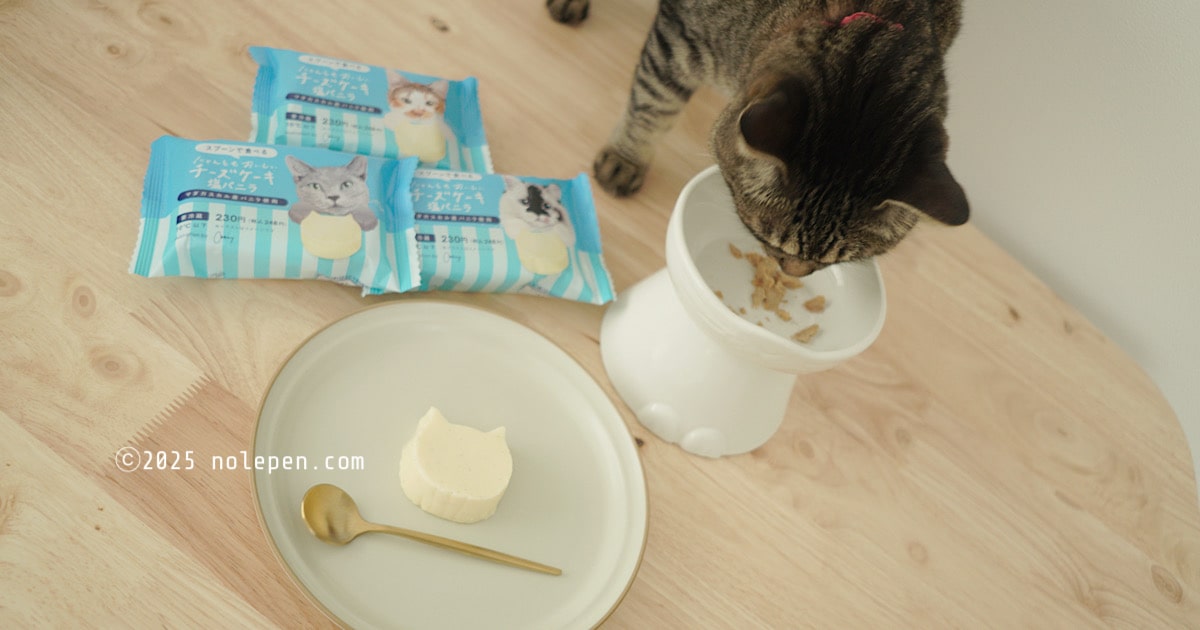 主はにゃんおもおいしいチーズケーキ｜愛猫のれはカツオのボイルでお祝い