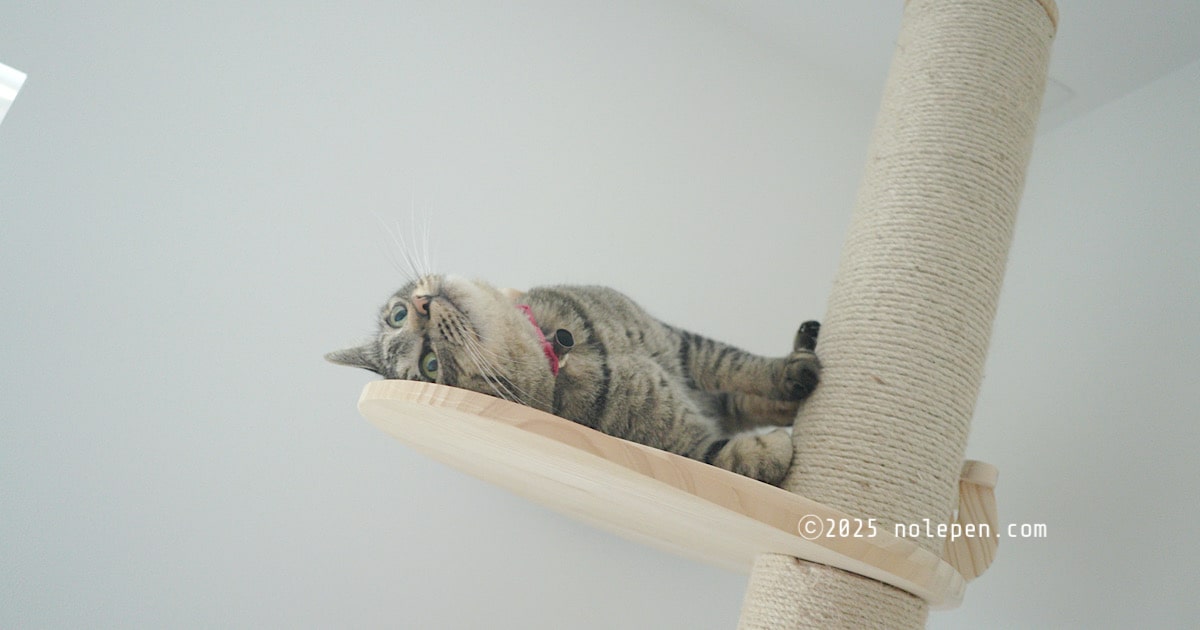 1時間半以上、愛猫のれ｜組み替えとの格闘の末設置完了！