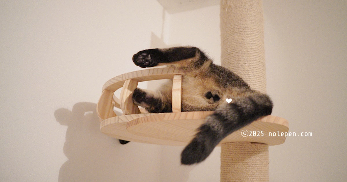 キャットタワーから落ちそうなくらい大胆な寝相の愛猫のれ