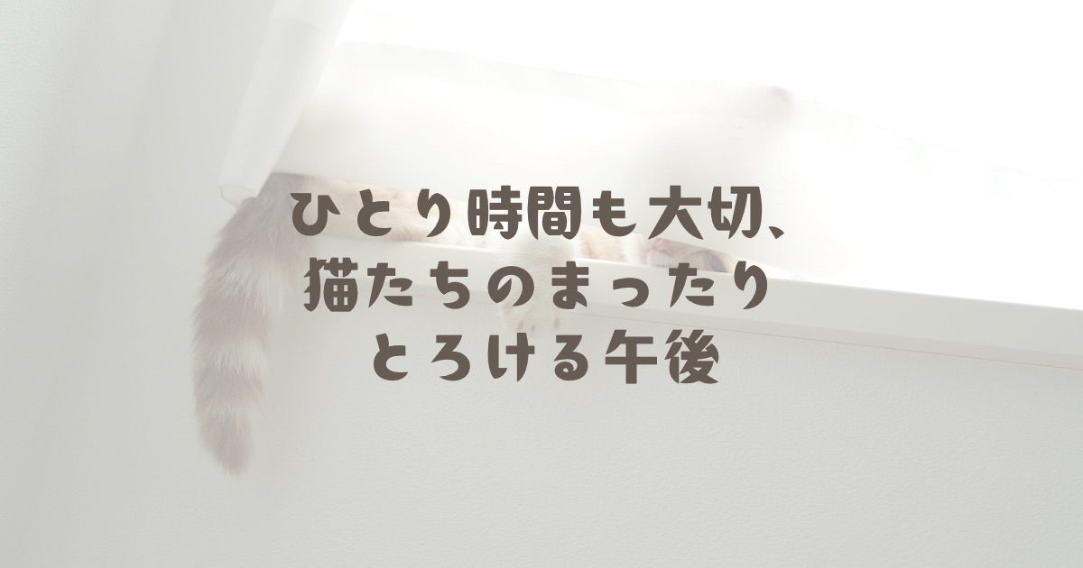 ひとり時間も大切、猫たちのまったりとろける午後