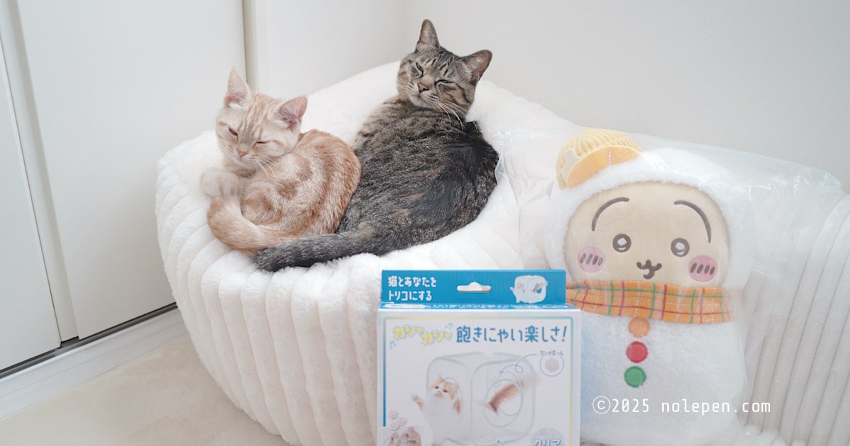 猫壱「キャットプレイキューブクリア」とちいかわエニマイくじC賞うさぎ