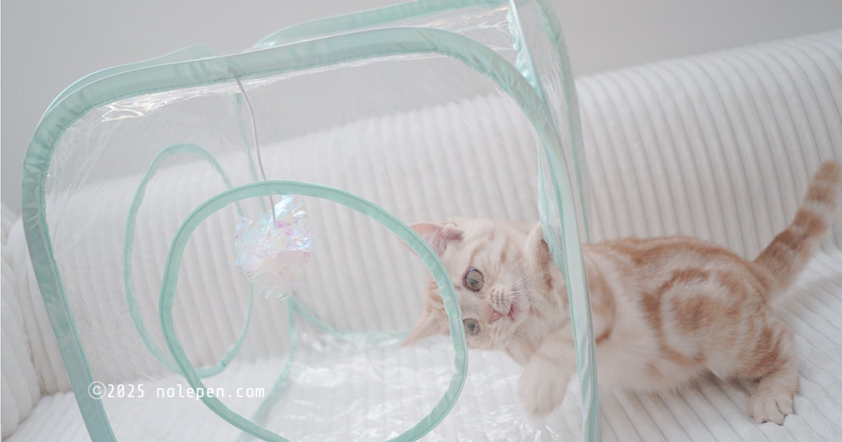 ちょっと変顔ちっくな表情も丸見えなお転婆らの