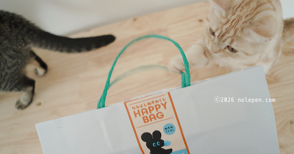 VINYL TOKYO「なかよしねずみくじHAPPY BAG」ねずみ（くろ）