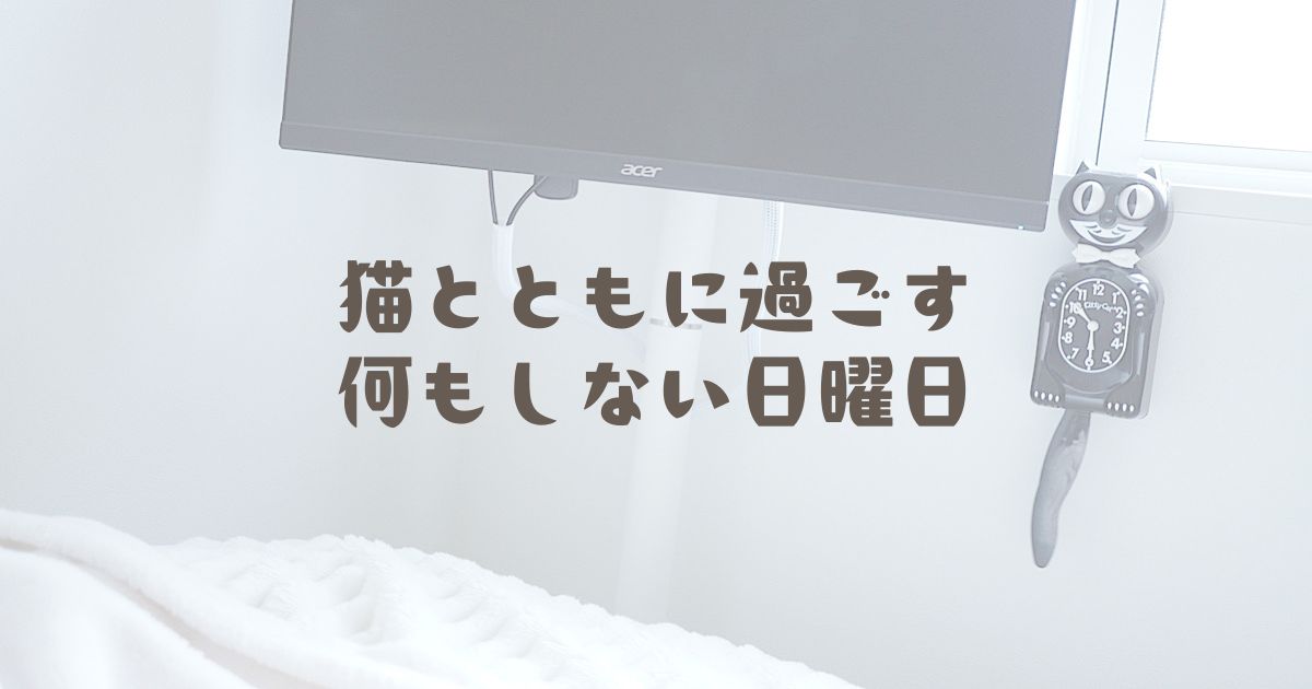 猫とともに過ごす何もしない日曜日