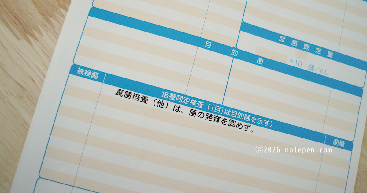 陰性判定「真菌培養(他)は菌の発育を認めず。」との記載あり