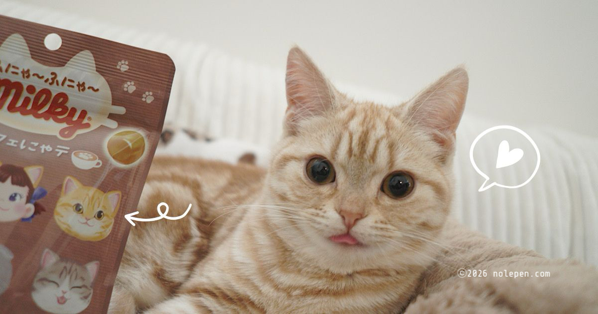 猫パケの茶トラ猫ちゃんがお転婆らのに似ててテンションあげあげ！