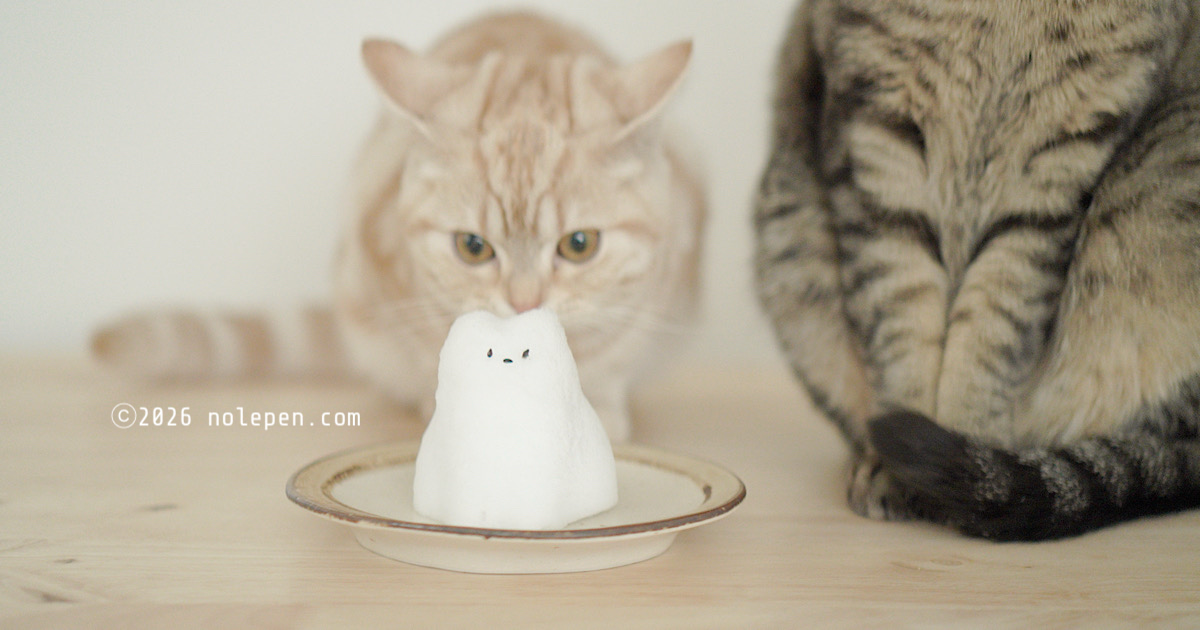 なぜかイカ耳状態で雪こねこをクンクンするお転婆らの
