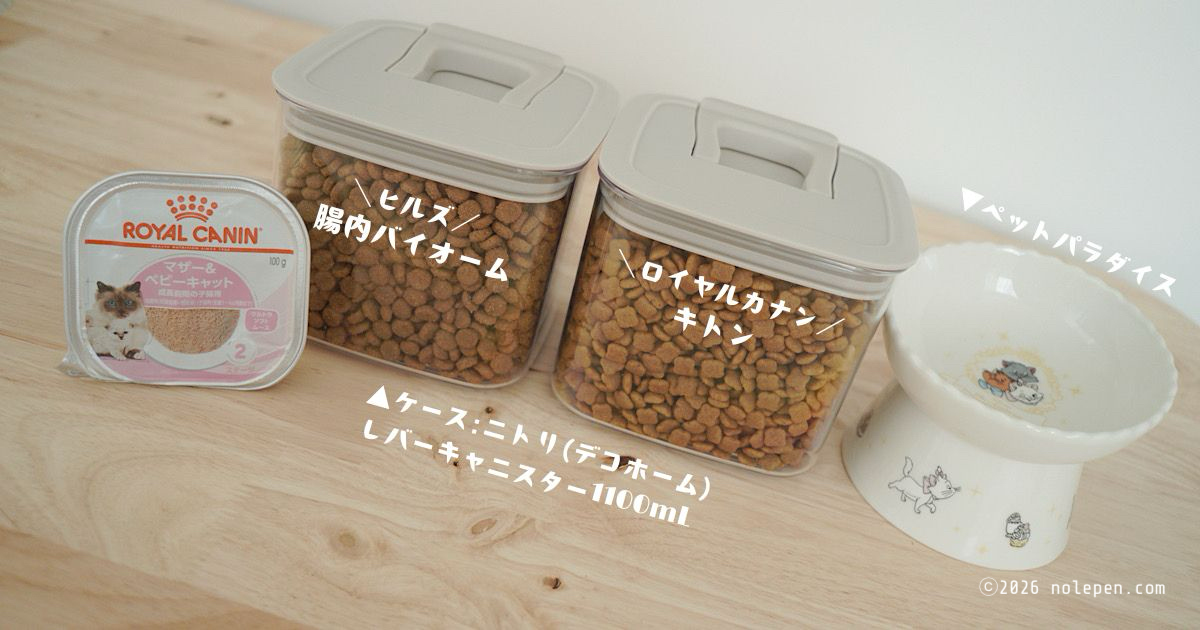 お転婆らののごはんセット