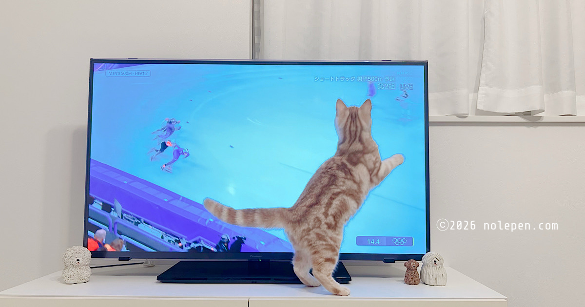 氷の上を猛スピードで滑る選手が気になるお転婆らの