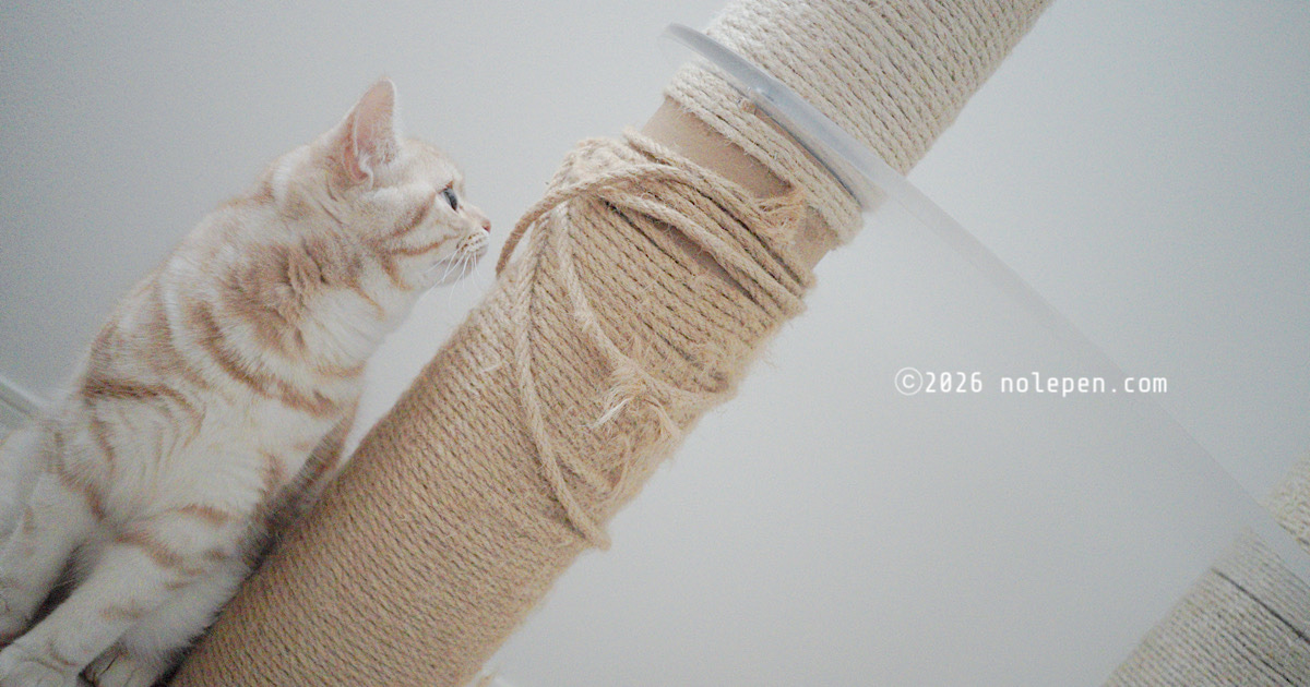 キャットタワーの爪とぎポールがボロボロすぎる！