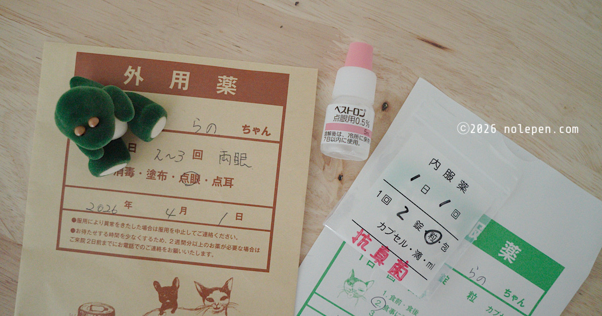 お転婆らののお薬たち、抗真菌薬30日分と鼻づまり対策の目薬