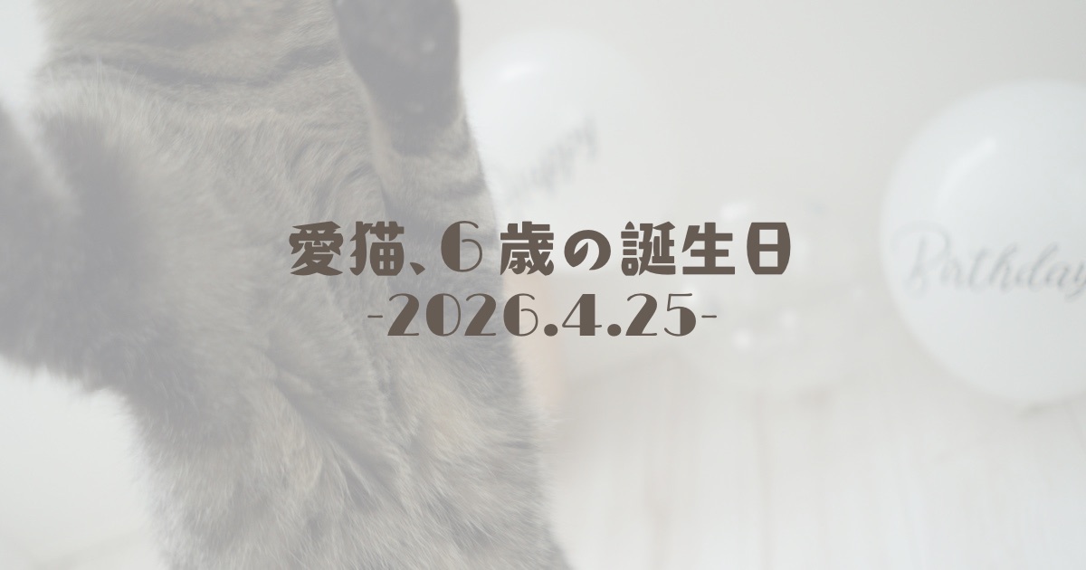愛猫のれ、6歳の誕生日