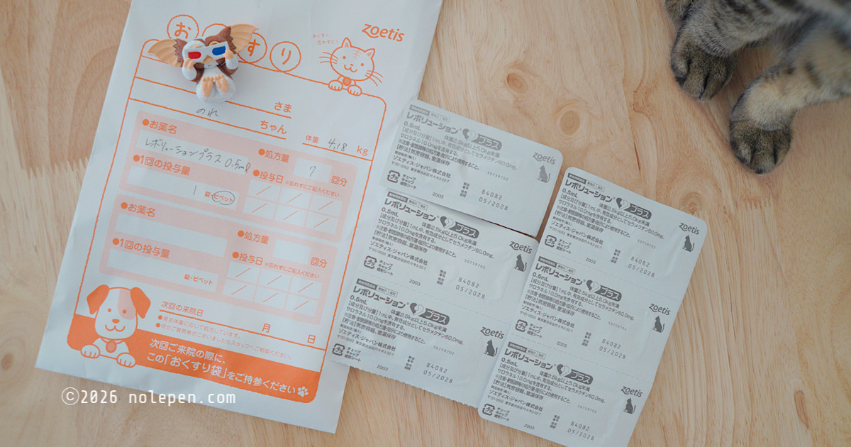 甘えん坊のれ、フィラリア対策も6年目に！