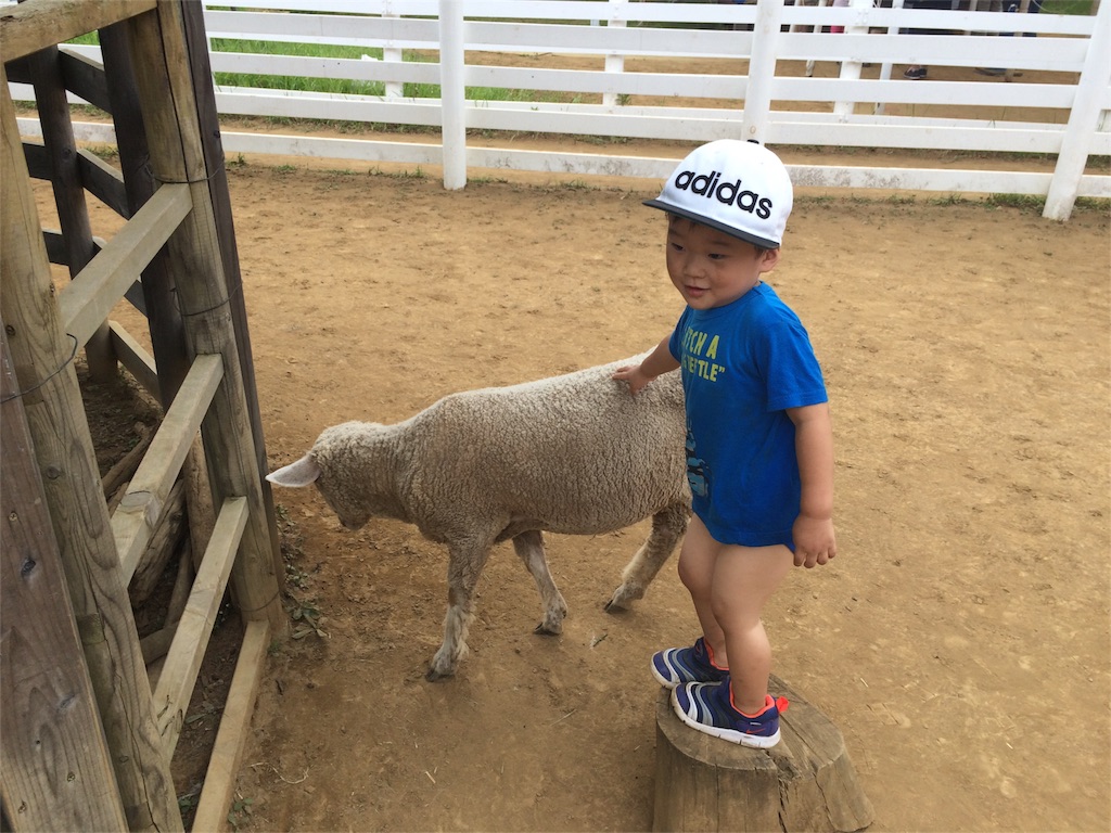 f:id:noma9289:20160816055437j:image