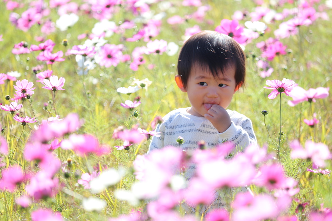 f:id:nomadchannel:20201118235845j:plain