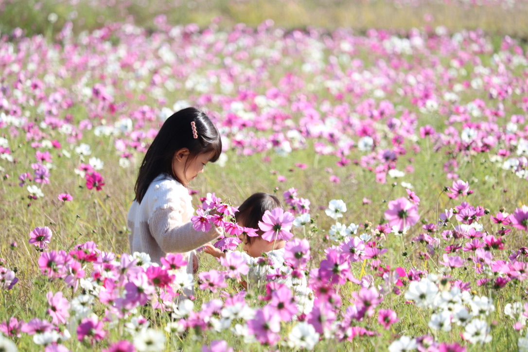 f:id:nomadchannel:20201119000818j:plain