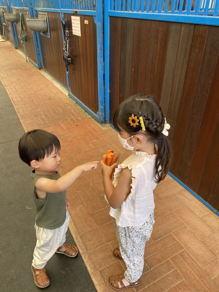 f:id:nomadchannel:20210914170825j:plain