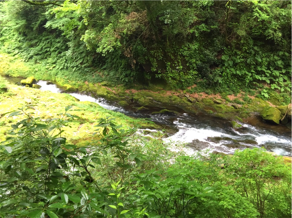 f:id:nomadtravel:20160615224159j:image f:id:nomadtravel:20160615224159j:image