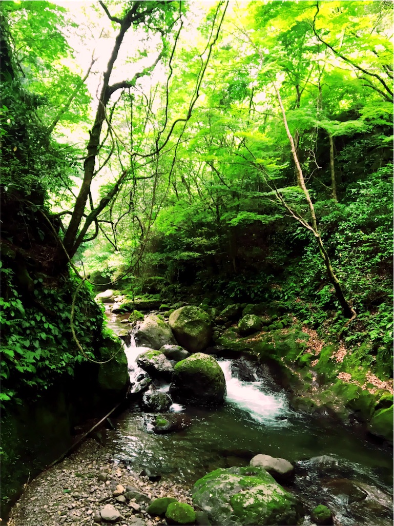 f:id:nomadtravel:20160615224207j:image f:id:nomadtravel:20160615224207j:image