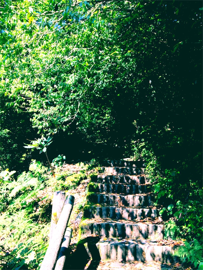 f:id:nomadtravel:20160618215331j:image f:id:nomadtravel:20160618215331j:image