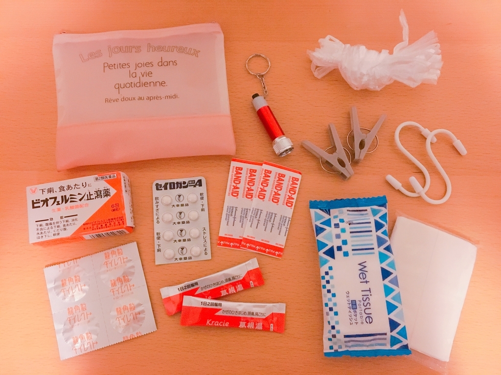 f:id:nomadwork_erina:20190307015946j:plain