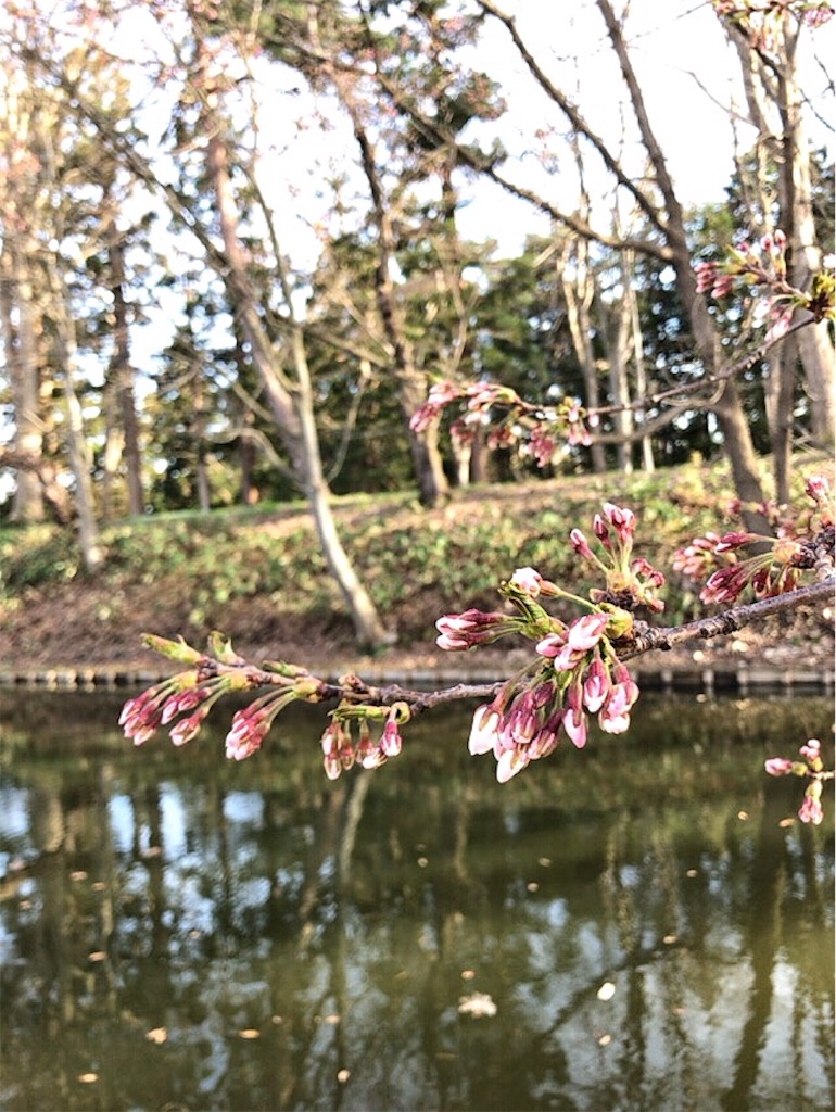 f:id:nomazuni:20190501173311j:image