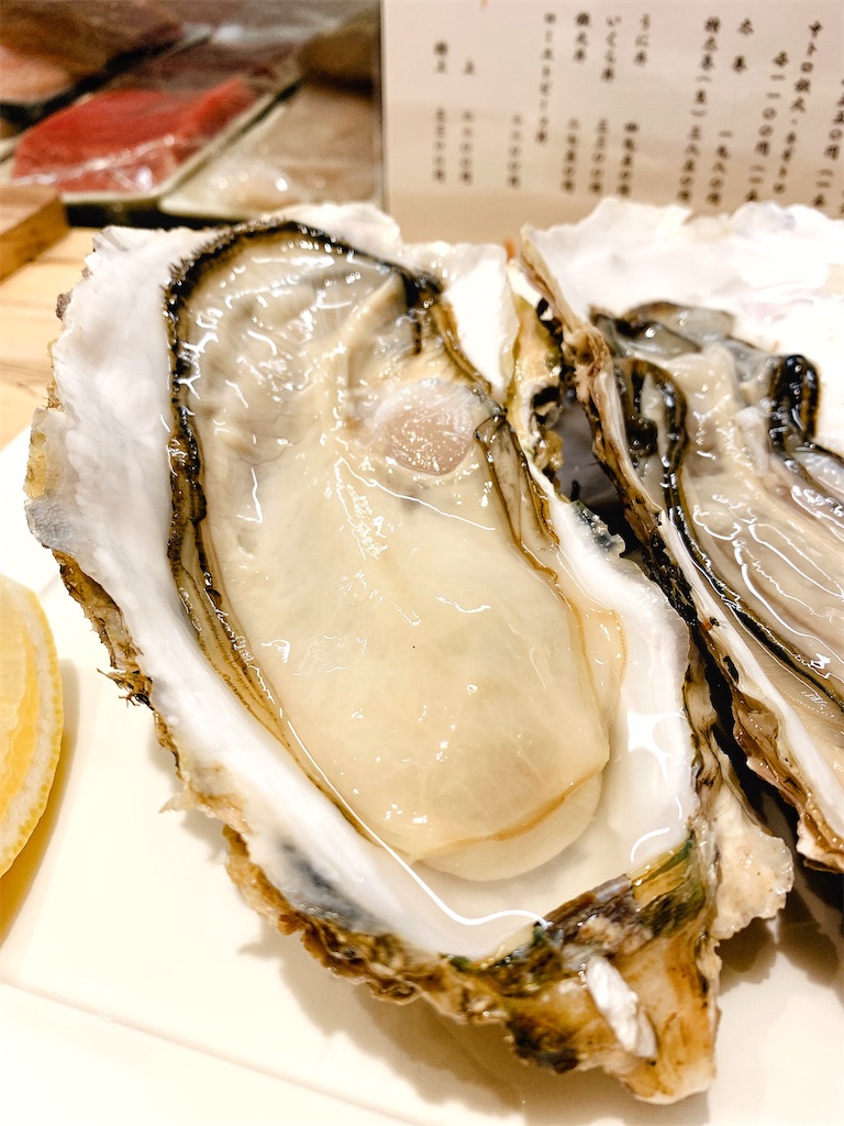 f:id:nomazuni:20230225070333j:image