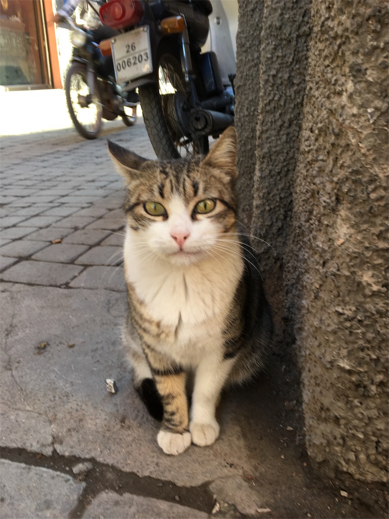 f:id:nomico:20171229144136j:image