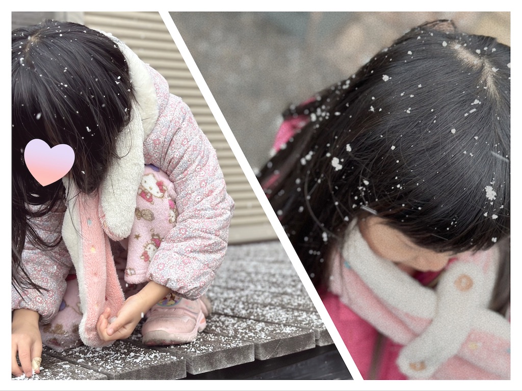 f:id:nomisukemama:20221218214642j:image f:id:nomisukemama:20221218214642j:image