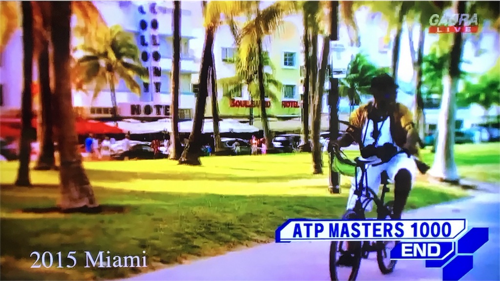 f:id:nomizuharuka:20160321124310j:image