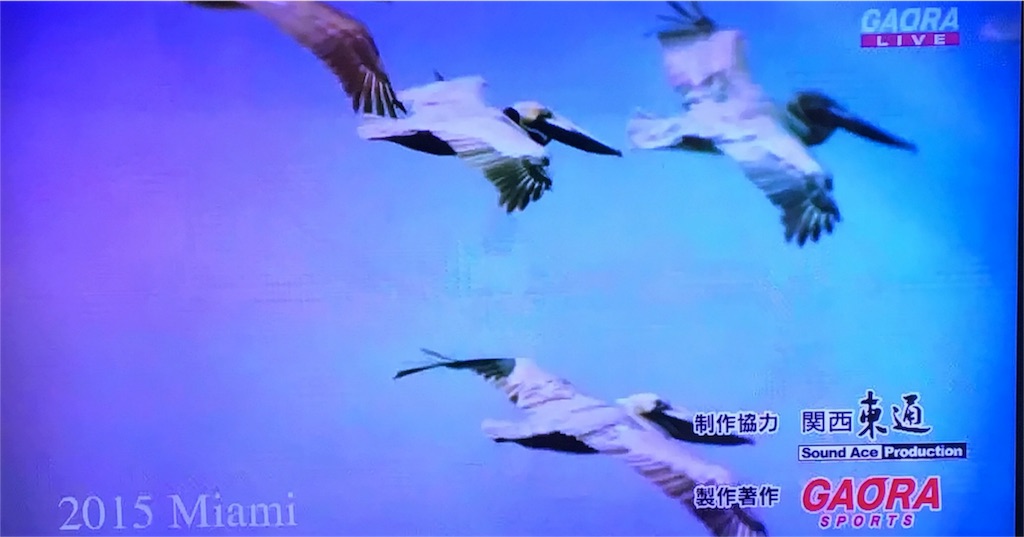 f:id:nomizuharuka:20160322155657j:image