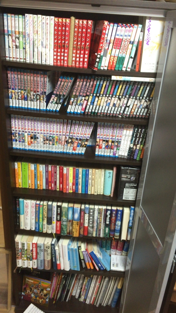 あなたの本棚見せてくださいvol.0009 - 20代女性 - 本棚